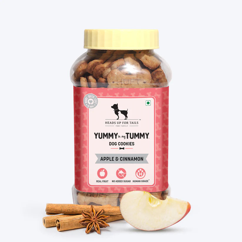 HUFT Yummy In My Tummy Apple & Cinnamon Vegetarian Dog Biscuits
