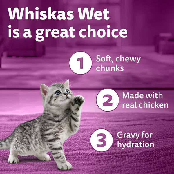 Whiskas Chicken in Gravy Meal Kitten Cat Wet Food