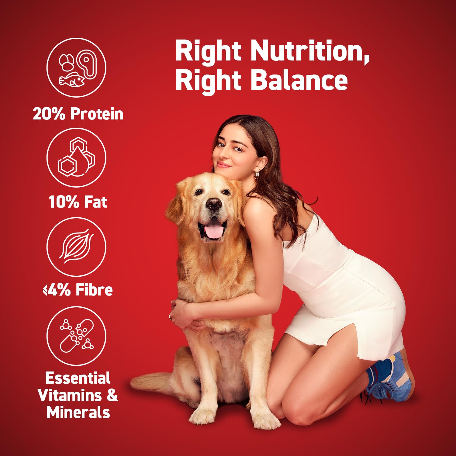Drools Chicken and Egg Adult Dog Dry Food