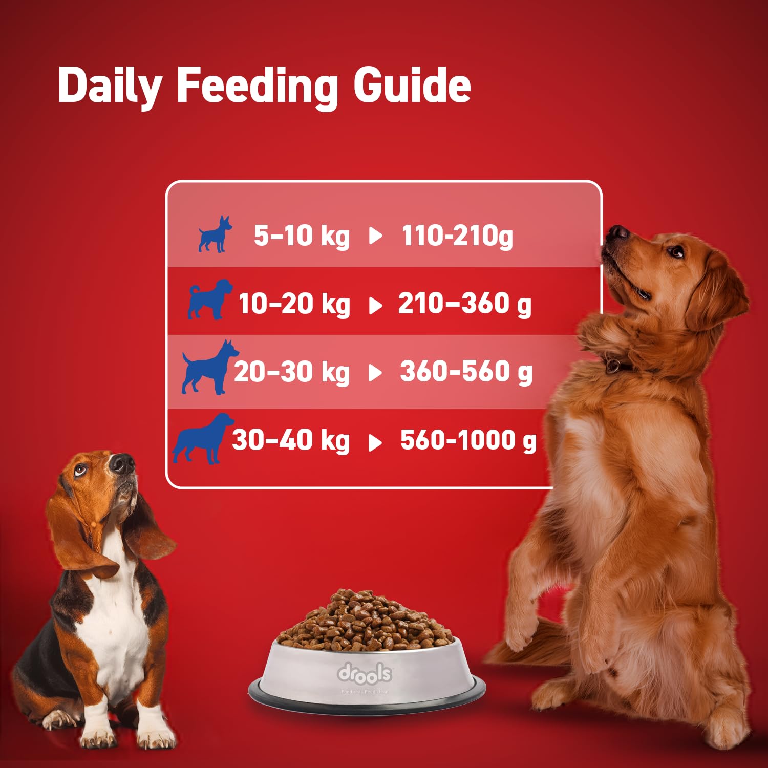 Drools Chicken and Egg Adult Dog Dry Food