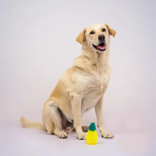 Pineapple Shaped Ice Cooling Toy for Dogs & Cats (Yellow)