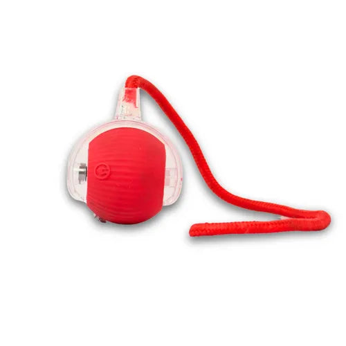 Skatrs Running Ball with String Toy for Cats