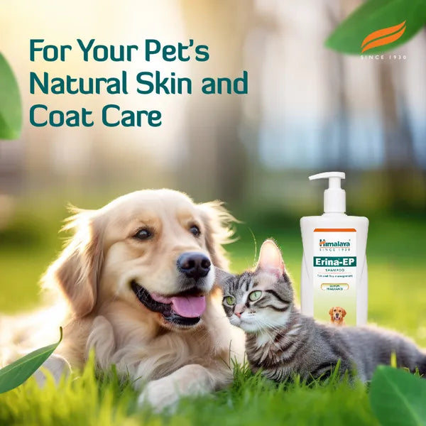 Erina EP Shampoo | Improves Skin Health & Odor | Controls Ticks & Fleas Flea and Tick Neem and Eucalyptus Dog, Cat Shampoo (450 ml)