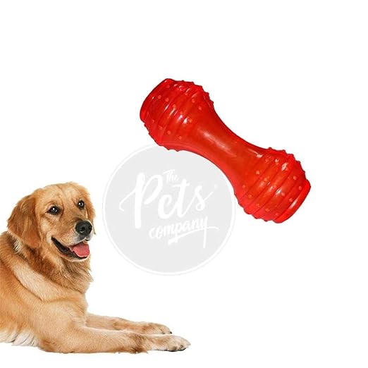 The Pets Company Hollow TPR Dumbell Interactive Dog Toy for Small & Medium Dogs, 6 Inches
