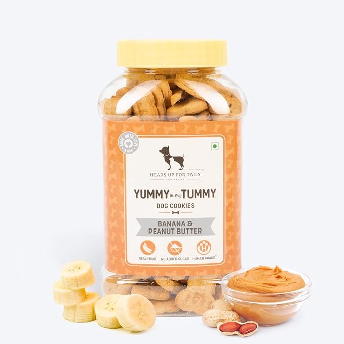 HUFT Yummy In My Tummy Peanut Butter & Banana Gluten-Free Dog Biscuits – Vegetarian, Human-Grade Ingredients