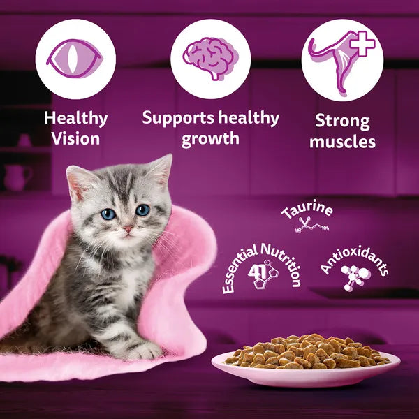 Whiskas Chicken in Gravy Meal Kitten Cat Wet Food