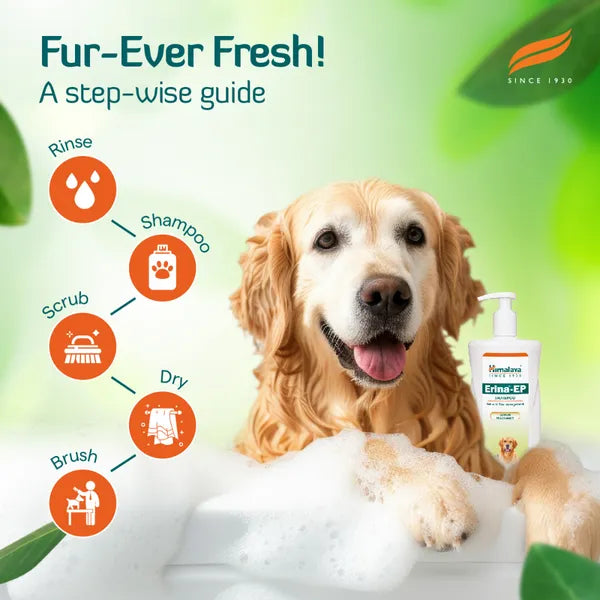 Erina EP Shampoo | Improves Skin Health & Odor | Controls Ticks & Fleas Flea and Tick Neem and Eucalyptus Dog, Cat Shampoo (450 ml)