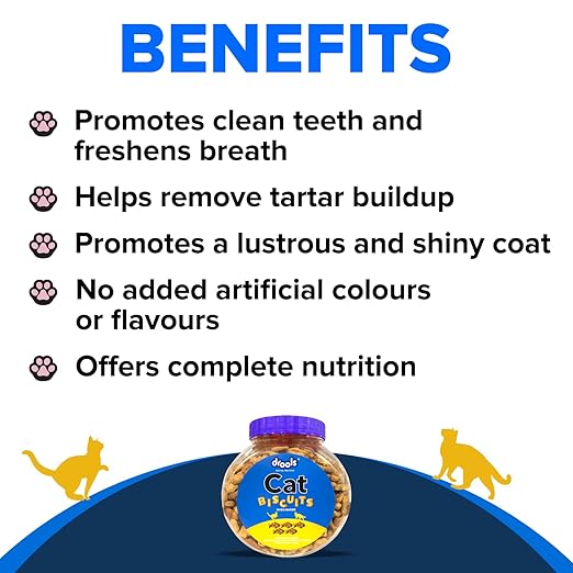 Drools Adult Cat Treat Biscuits 400g Jar | Real Chicken Flavour | Supports Activity | Promotes Oral Health | Aids Training & Discipline