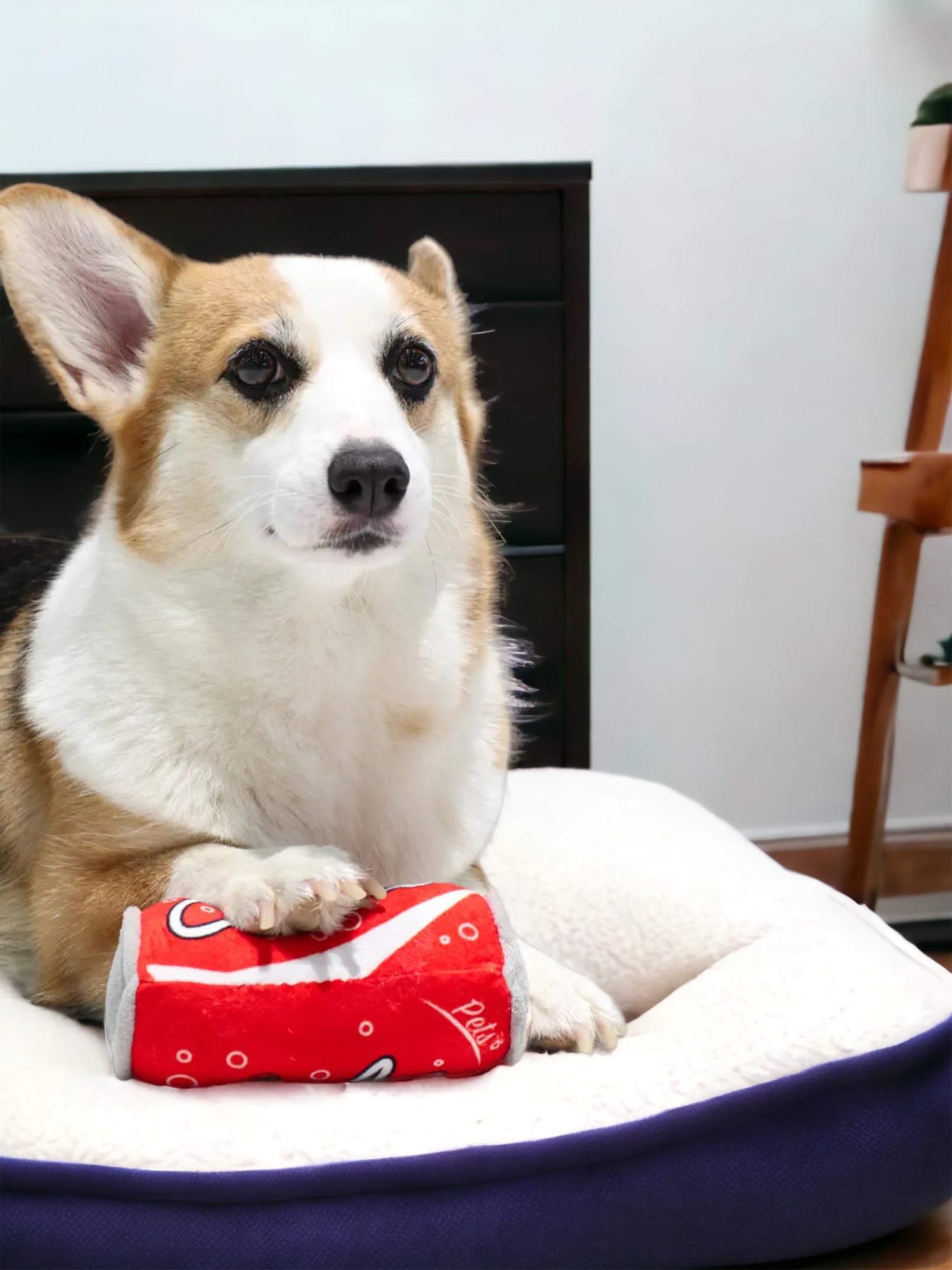 Talking Dog Club Cola Pup Can Plush Toy for Dogs
