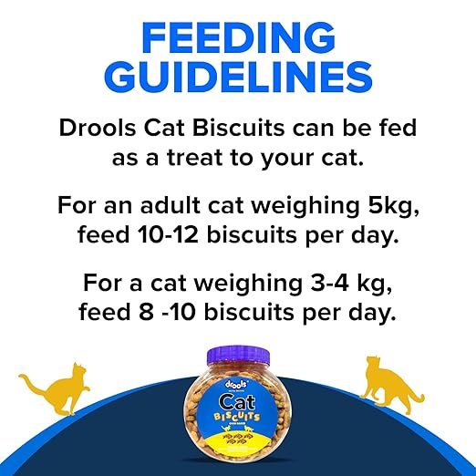 Drools Adult Cat Treat Biscuits 400g Jar | Real Chicken Flavour | Supports Activity | Promotes Oral Health | Aids Training & Discipline