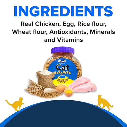 Drools Adult Cat Treat Biscuits 400g Jar | Real Chicken Flavour | Supports Activity | Promotes Oral Health | Aids Training & Discipline