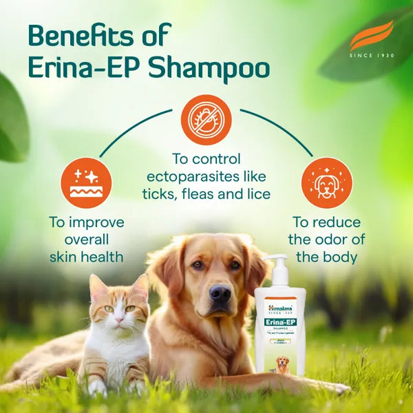 Erina EP Shampoo | Improves Skin Health & Odor | Controls Ticks & Fleas Flea and Tick Neem and Eucalyptus Dog, Cat Shampoo (450 ml)