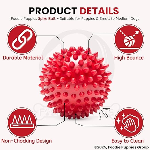 Foodie Puppies Natural Rubber Spike Ball - 2.8inch/ 7cm | Suitable for Small to Medium Dogs and Puppies | Chewing, Teething, and Training Bouncy Ball Toy