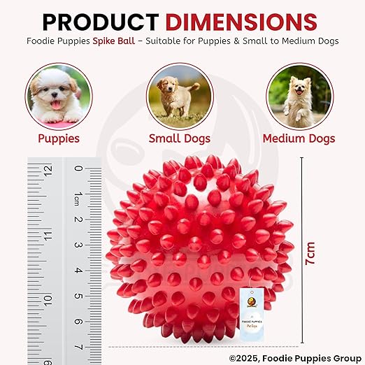 Foodie Puppies Natural Rubber Spike Ball - 2.8inch/ 7cm | Suitable for Small to Medium Dogs and Puppies | Chewing, Teething, and Training Bouncy Ball Toy