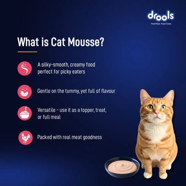 Drools Salmon Mousse Adult Cat Wet Food 5+1