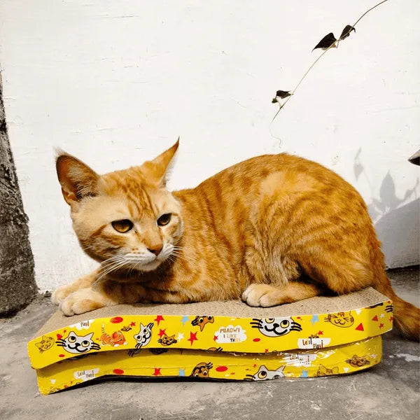 Emily Pets Sofa Bed Scratching Pad for Kittens (Beige)