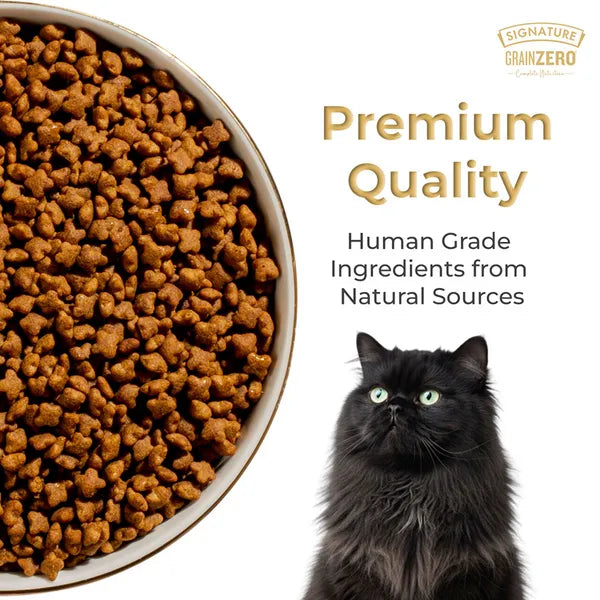 Grain zero kitten