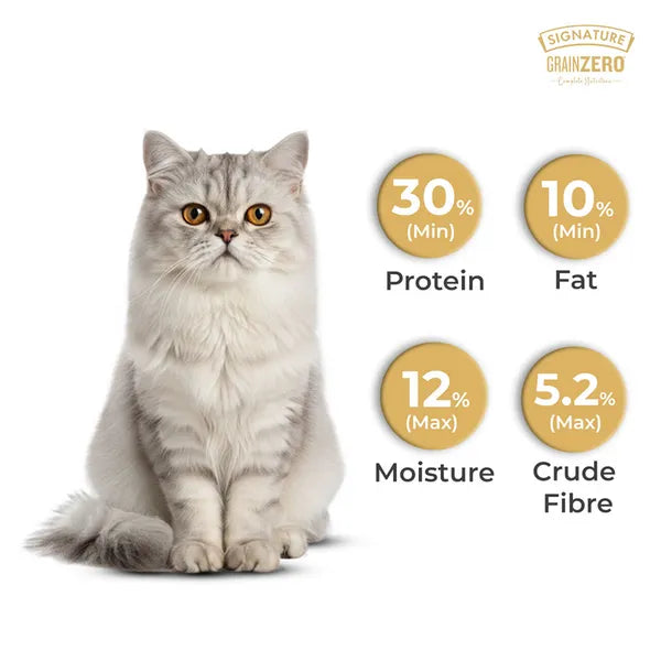 Grain zero kitten