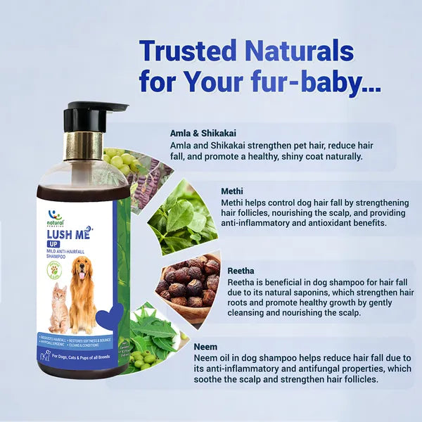 Natural Remedies Lush Me Up Anti Hairfall Shampoo for Dogs and Cats