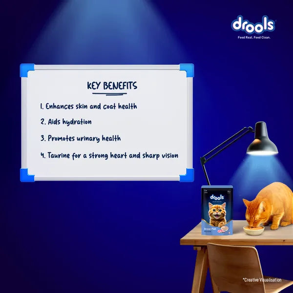 Drools Ocean Fish Mousse Adult Cat Wet Food 5+1