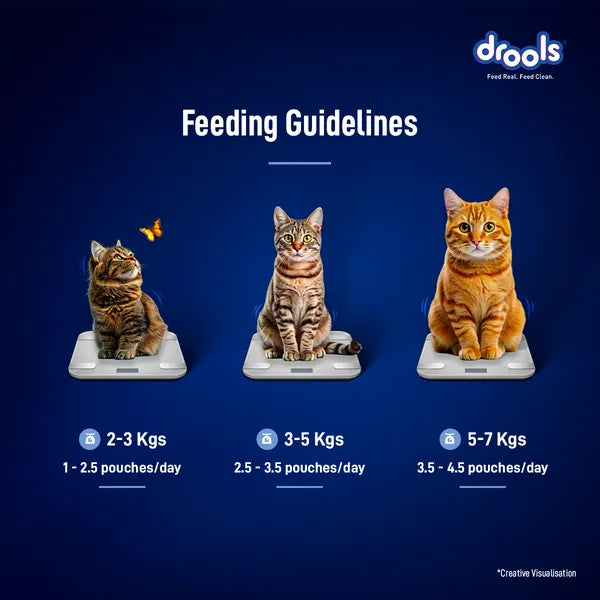 Drools Ocean Fish Mousse Adult Cat Wet Food 5+1