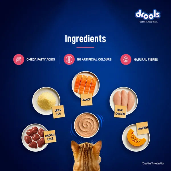 Drools Salmon Mousse Adult Cat Wet Food 5+1