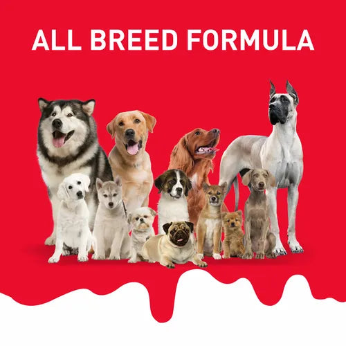Drools Absolute Milk Bone Jar Supertails' Choice