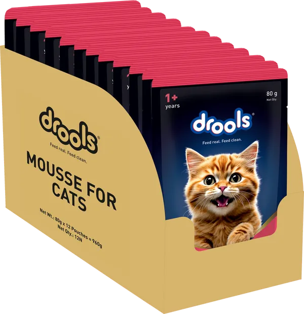 Drools Salmon Mousse Adult Cat Wet Food 5+1