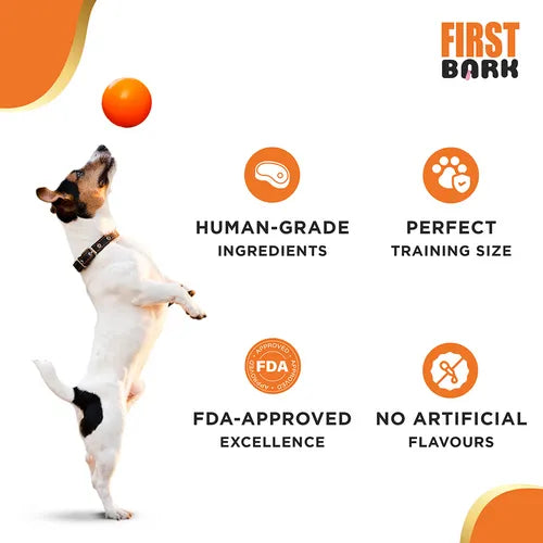 Round Shape Chew Ball Toy | Natural Rubber and Plastic Chew Toy for Dogs | Ideal Dog Toy