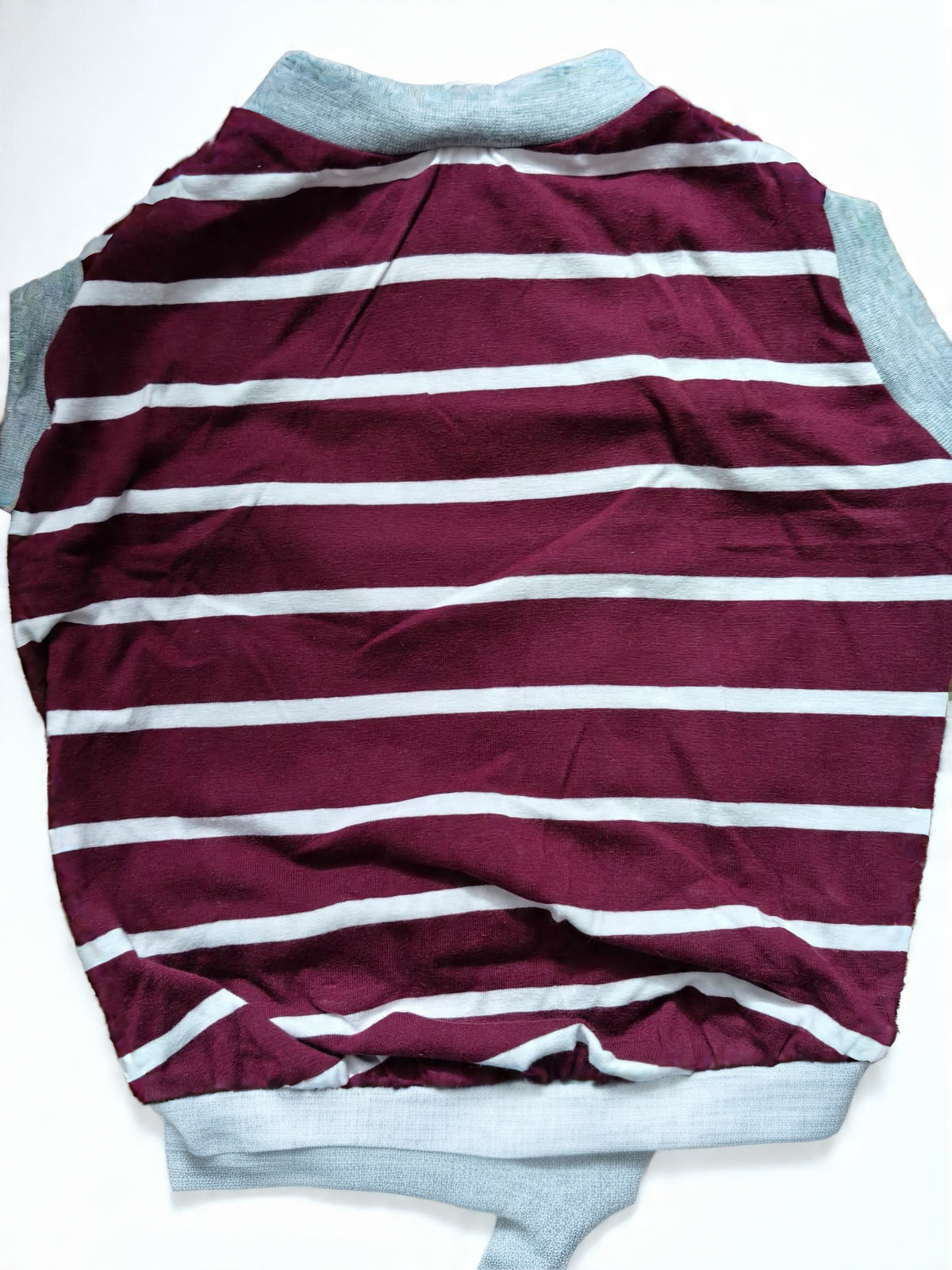 Summer Pet T-Shirt for Dogs & Cats