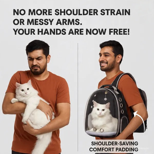 Carrier Bag pack for Cats