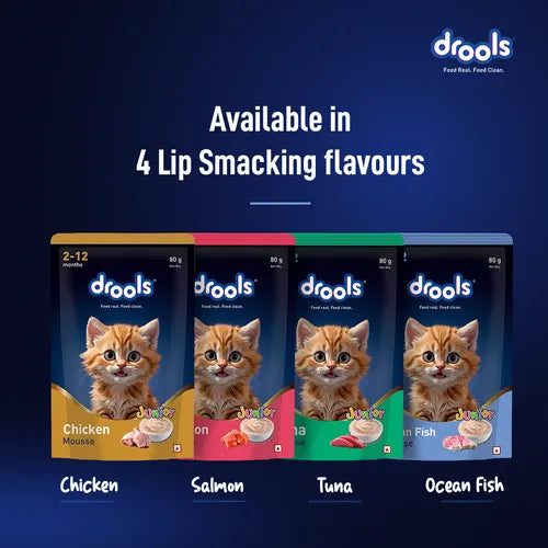 Drools Chicken Mousse Kitten Cat Wet Food