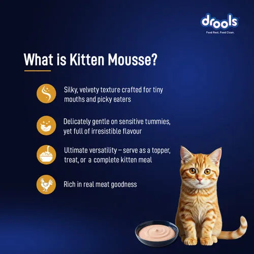 Drools Chicken Mousse Kitten Cat Wet Food