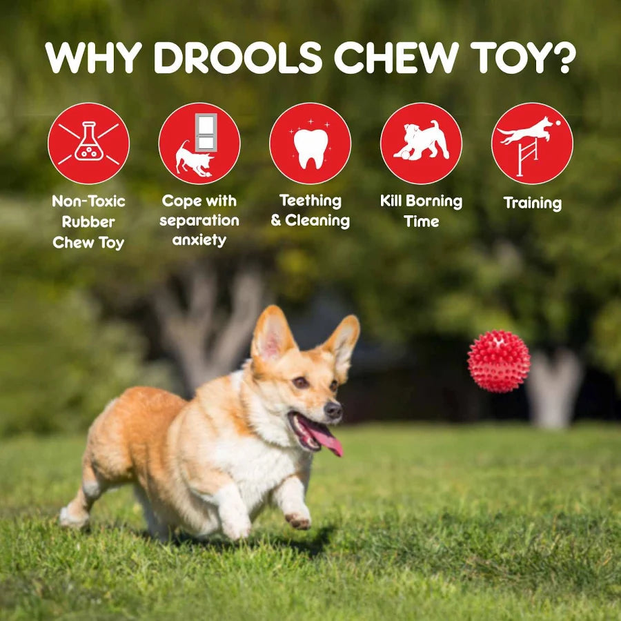 Foodie Puppies Natural Rubber Spike Ball - 2.8inch/ 7cm | Suitable for Small to Medium Dogs and Puppies | Chewing, Teething, and Training Bouncy Ball Toy