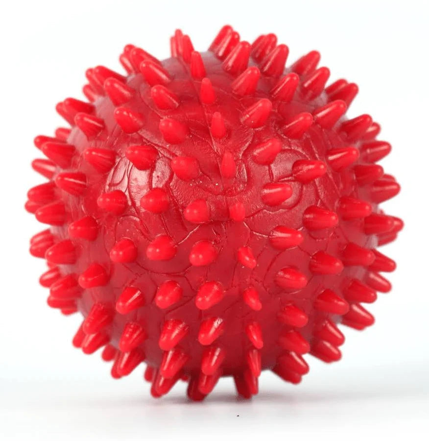 Foodie Puppies Natural Rubber Spike Ball - 2.8inch/ 7cm | Suitable for Small to Medium Dogs and Puppies | Chewing, Teething, and Training Bouncy Ball Toy