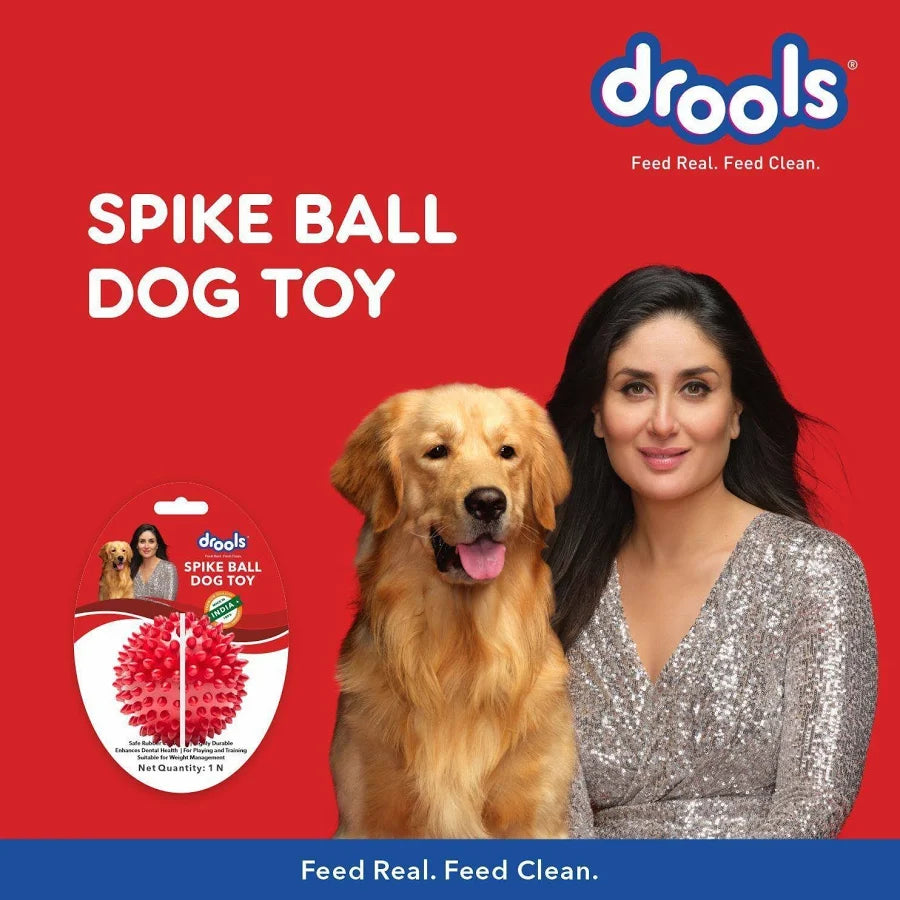 Foodie Puppies Natural Rubber Spike Ball - 2.8inch/ 7cm | Suitable for Small to Medium Dogs and Puppies | Chewing, Teething, and Training Bouncy Ball Toy